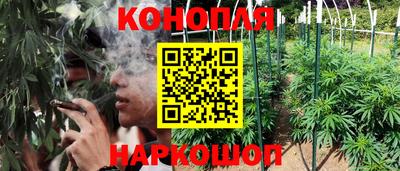 гашик Лесосибирск