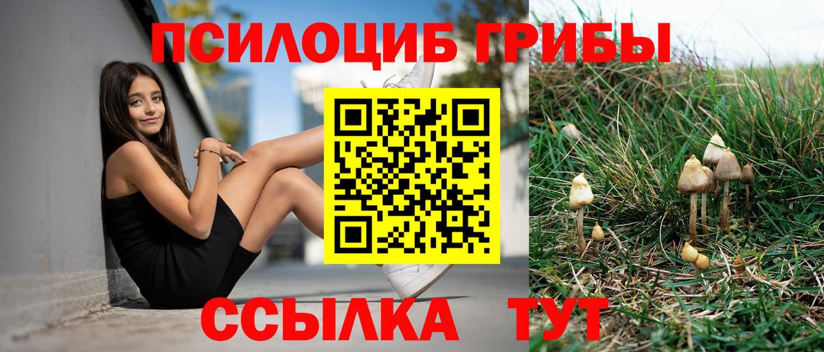 Галлюциногенные грибы мухоморы Бирск